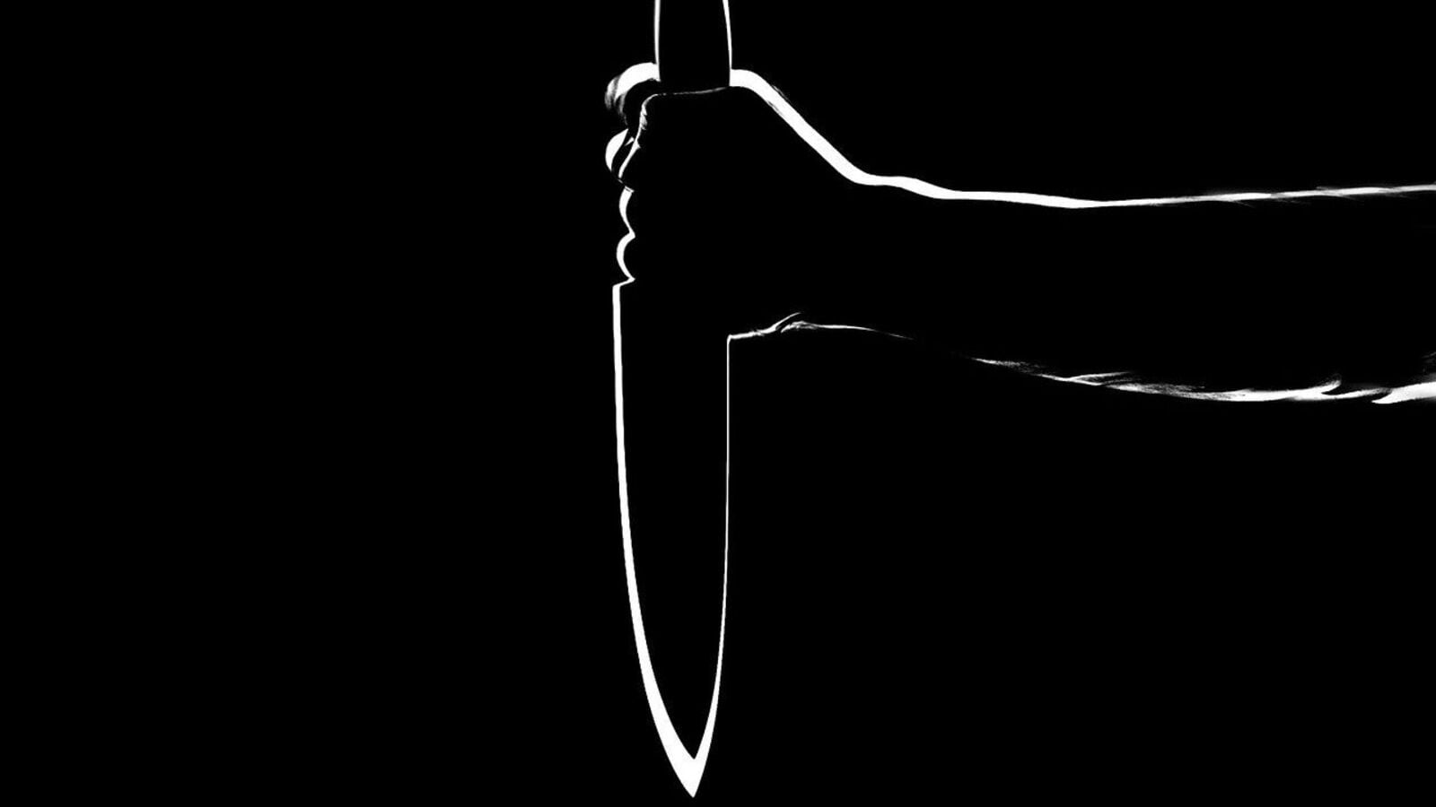 Faridabad Student Stabbed in Market: A Tragic Revenge